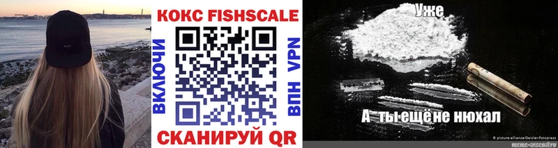 Купить закладки  Андреаполь  Cocaine FishScale 
