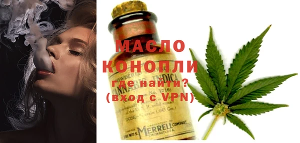 стафф Касимов