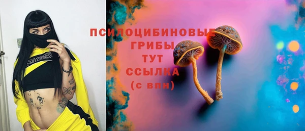 хмурый Каменногорск
