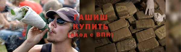 стафф Касимов