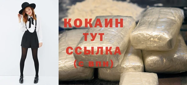 стафф Касимов