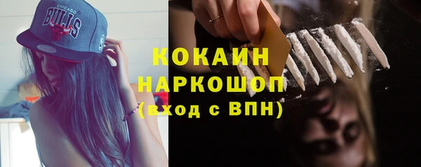 стафф Касимов
