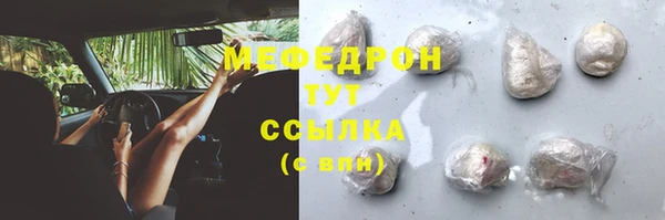стафф Касимов