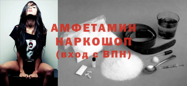 стафф Касимов