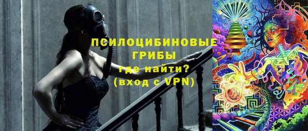 хмурый Каменногорск