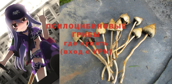 мдпв Каменка