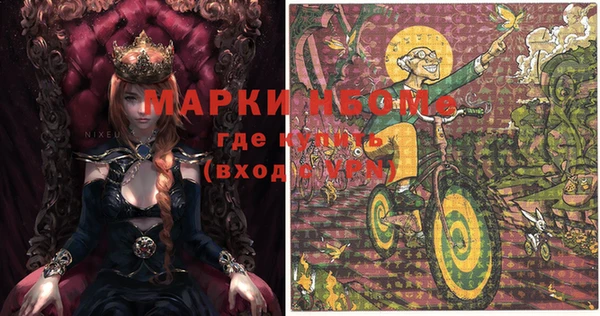 мдпв Каменка