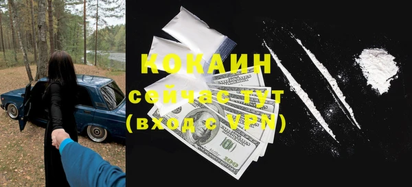 стафф Касимов