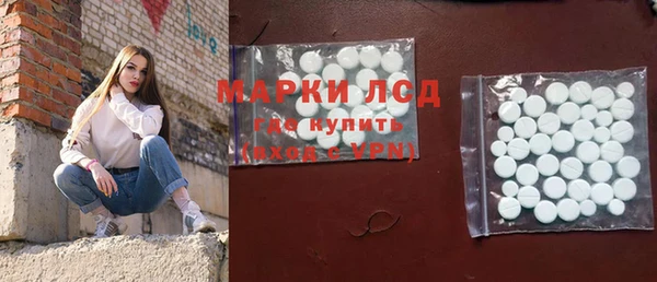 стафф Касимов