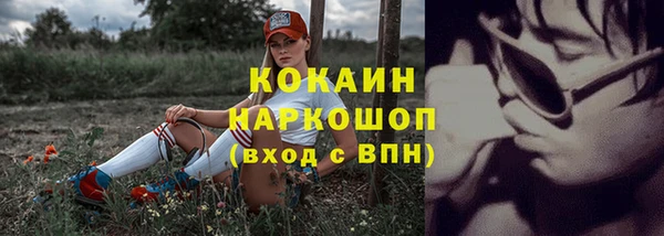 мдпв Каменка